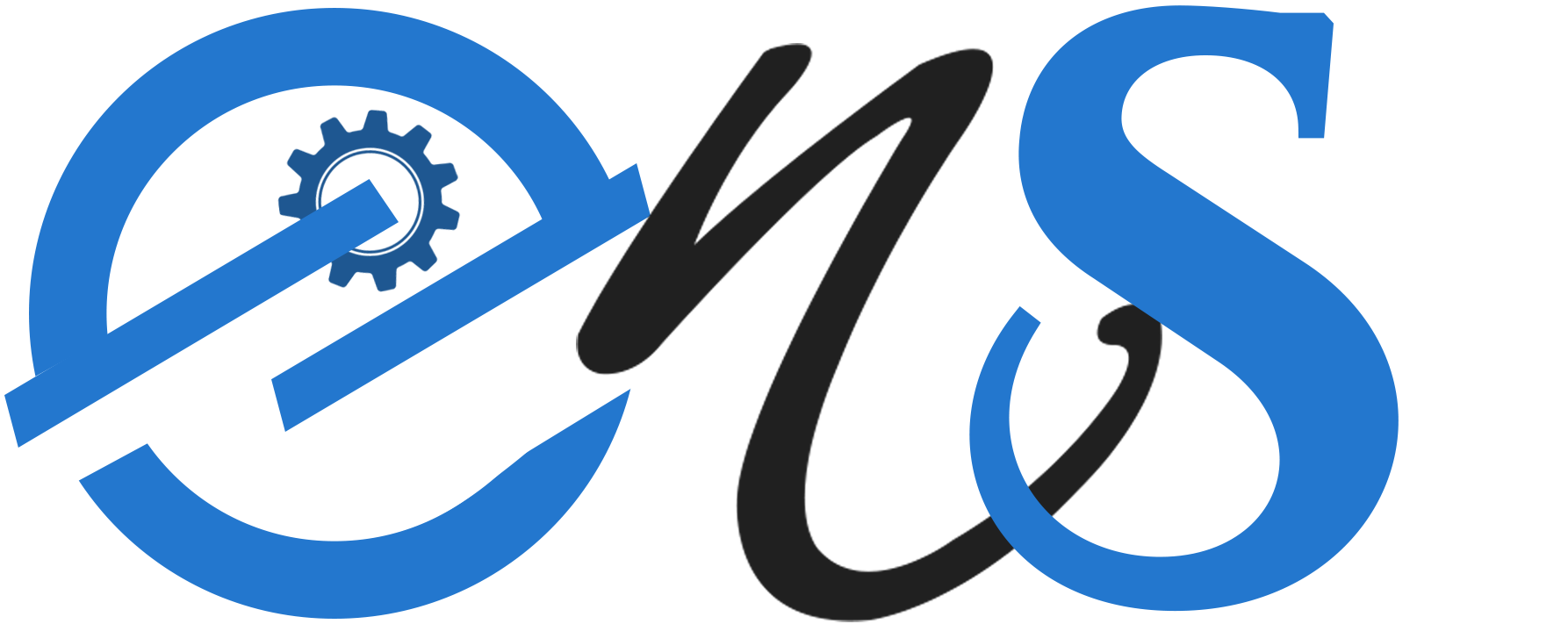 ENS LOGO